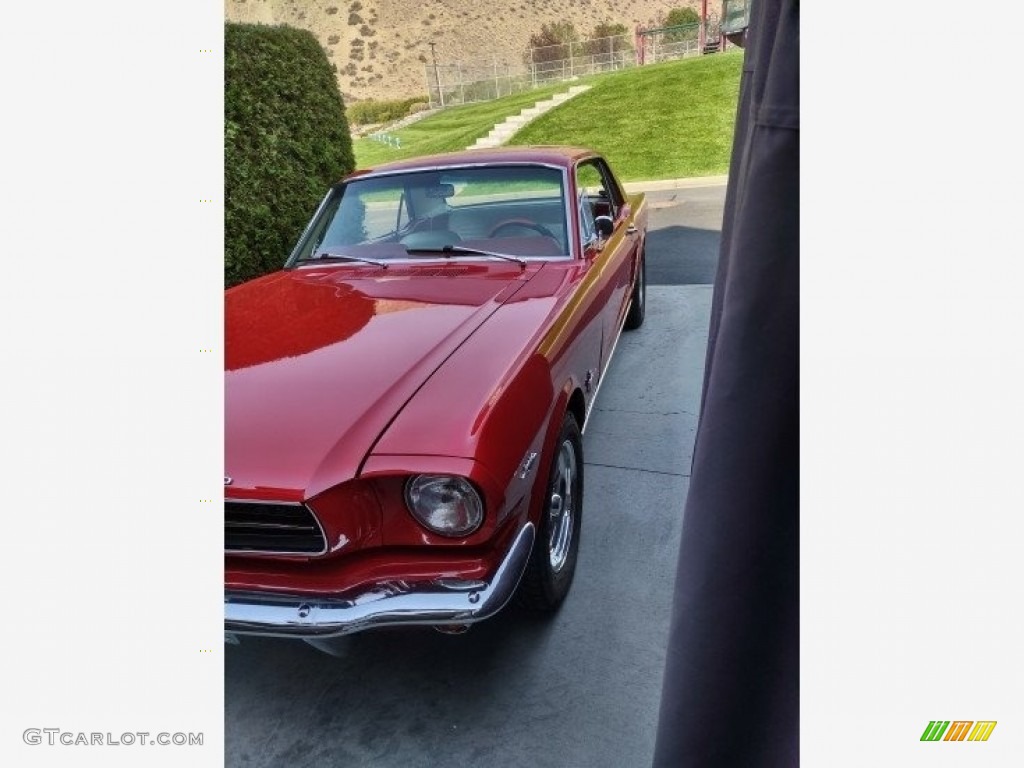 1965 Mustang Coupe - Rangoon Red / White photo #9