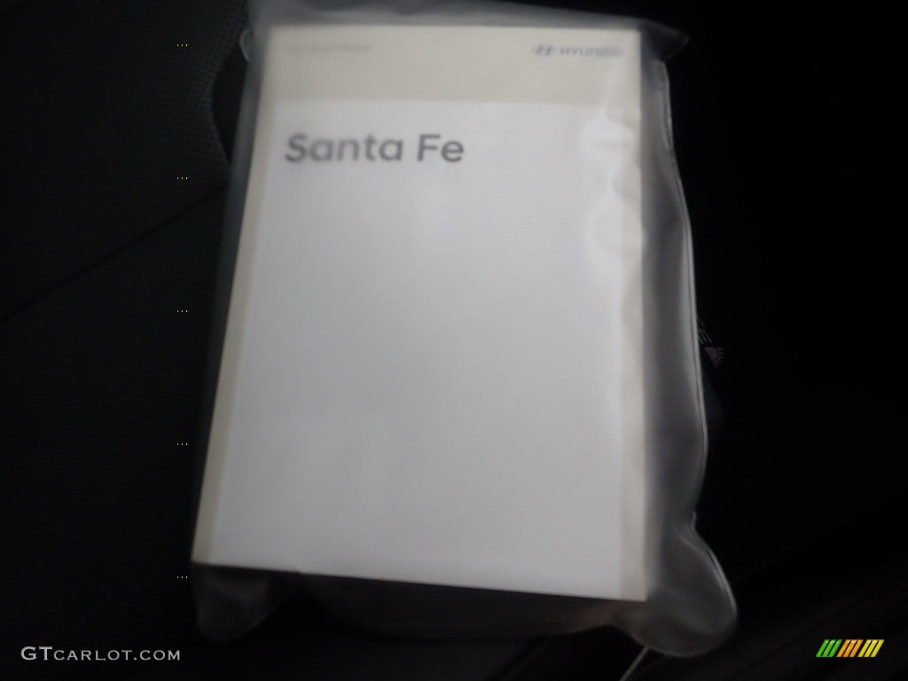 2022 Santa Fe SEL AWD - Stormy Sea / Gray photo #13
