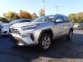 Silver Sky Metallic - RAV4 XLE AWD Photo No. 6