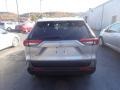 Silver Sky Metallic - RAV4 XLE AWD Photo No. 9