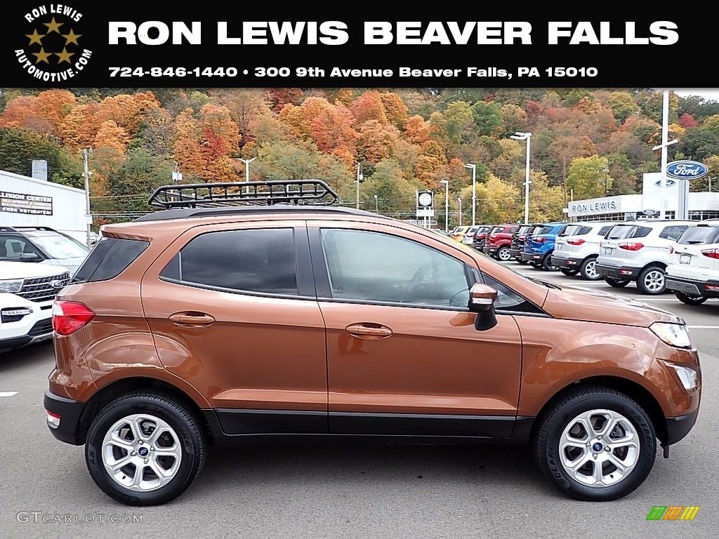 2019 EcoSport SE 4WD - Canyon Ridge Metallic / Ebony Black photo #1