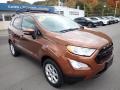 Canyon Ridge Metallic - EcoSport SE 4WD Photo No. 2