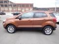Canyon Ridge Metallic - EcoSport SE 4WD Photo No. 5