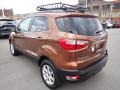 Canyon Ridge Metallic - EcoSport SE 4WD Photo No. 6