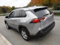 Silver Sky Metallic - RAV4 XLE AWD Photo No. 13