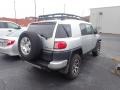 Titanium Metallic - FJ Cruiser 4WD Photo No. 10