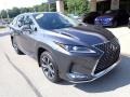 Cloudburst Gray - RX 350L Photo No. 2