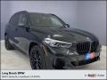 Black Sapphire Metallic 2023 BMW X5 sDrive40i