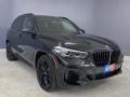 2023 Black Sapphire Metallic BMW X5 sDrive40i  photo #27