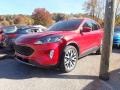 2020 Rapid Red Metallic Ford Escape SEL 4WD  photo #6