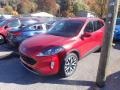 2020 Rapid Red Metallic Ford Escape SEL 4WD  photo #7