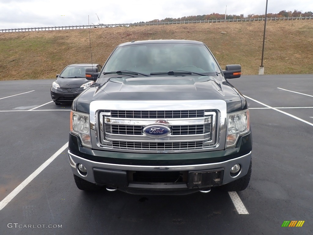 2013 F150 XLT SuperCrew 4x4 - Green Gem Metallic / Steel Gray photo #3