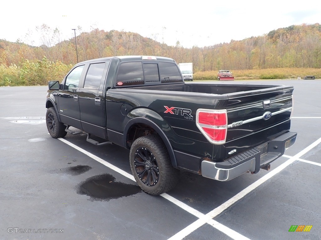 2013 F150 XLT SuperCrew 4x4 - Green Gem Metallic / Steel Gray photo #8