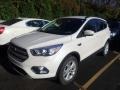 2019 White Platinum Ford Escape SEL 4WD #145055330