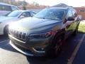 2019 Olive Green Pearl Jeep Cherokee Limited 4x4 #145055329