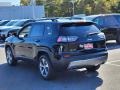 Diamond Black Crystal Pearl - Cherokee Limited 4x4 Photo No. 3