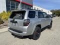 Classic Silver Metallic - 4Runner TRD Off Road Premium 4x4 Photo No. 9