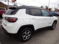 Bright White - Compass Trailhawk 4x4 Photo No. 6