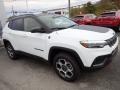 Bright White - Compass Trailhawk 4x4 Photo No. 8