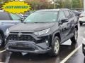 Midnight Black Metallic - RAV4 XLE AWD Photo No. 1