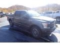Magnetic - F150 XLT SuperCrew 4x4 Photo No. 2