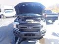 Magnetic - F150 XLT SuperCrew 4x4 Photo No. 4