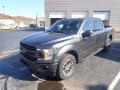 Magnetic - F150 XLT SuperCrew 4x4 Photo No. 7