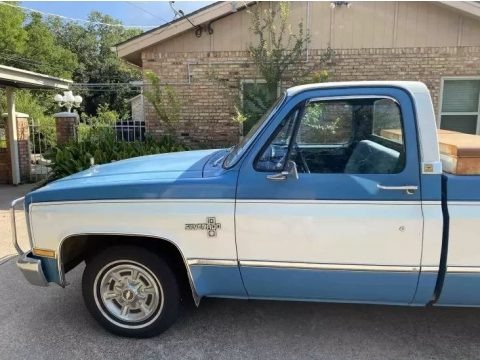 1981 Chevrolet C/K C10 Silverado Regular Cab Data, Info and Specs