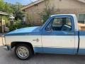 1981 Light Blue Metallic Chevrolet C/K C10 Silverado Regular Cab  photo #2