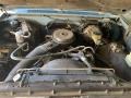 5.0 Liter OHV 16-Valve V8 1981 Chevrolet C/K C10 Silverado Regular Cab Engine