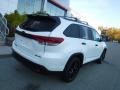 Blizzard Pearl White - Highlander SE AWD Photo No. 18