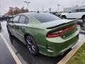 2019 F8 Green Dodge Charger GT  photo #8