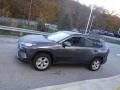 Magnetic Gray Metallic - RAV4 XLE AWD Photo No. 12