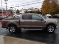 Stone Gray Metallic - F150 XLT SuperCrew 4x4 Photo No. 6