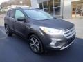 2018 Magnetic Ford Escape SEL 4WD  photo #9