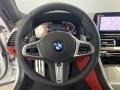 Fiona Red/Black Steering Wheel Photo for 2023 BMW 8 Series #145093172