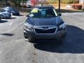 Dark Gray Metallic - Forester 2.5i Premium Photo No. 2