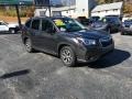 Dark Gray Metallic - Forester 2.5i Premium Photo No. 3