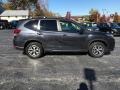 Dark Gray Metallic - Forester 2.5i Premium Photo No. 4