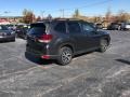 Dark Gray Metallic - Forester 2.5i Premium Photo No. 5
