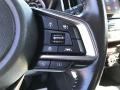Dark Gray Metallic - Forester 2.5i Premium Photo No. 19