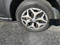Dark Gray Metallic - Forester 2.5i Premium Photo No. 37
