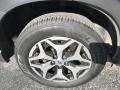 Dark Gray Metallic - Forester 2.5i Premium Photo No. 38