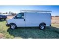 2015 Summit White Chevrolet Express 3500 Cargo WT  photo #7