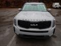 2022 Wolf Gray Kia Telluride SX AWD  photo #2