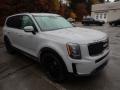 2022 Wolf Gray Kia Telluride SX AWD  photo #3