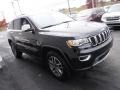 Diamond Black Crystal Pearl - Grand Cherokee Limited 4x4 Photo No. 6
