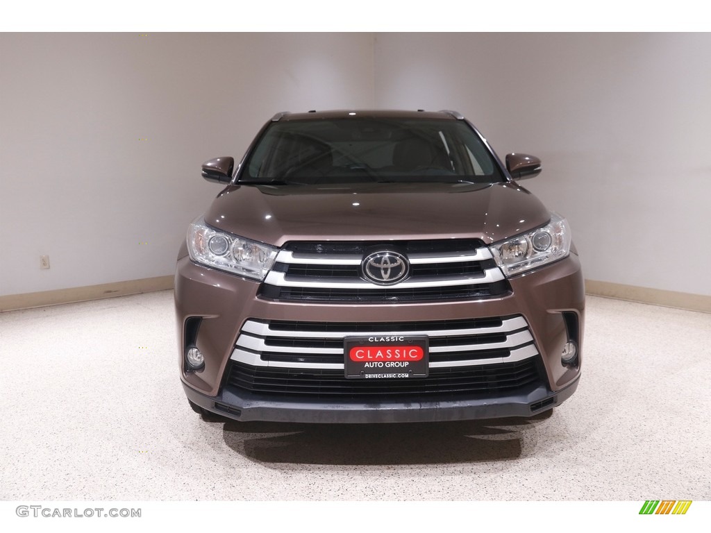 2019 Highlander XLE AWD - Toasted Walnut Pearl / Black photo #2