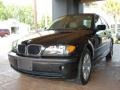 2004 Black Sapphire Metallic BMW 3 Series 325i Sedan  photo #10