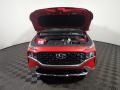 2022 Calypso Red Hyundai Santa Fe Calligraphy AWD  photo #7